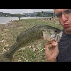 Meet your Posher, Patrick